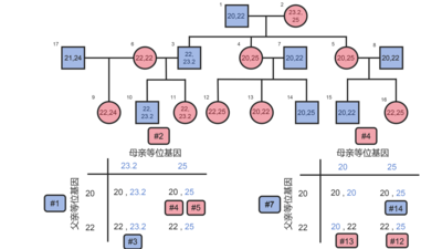 遗传家系示意图